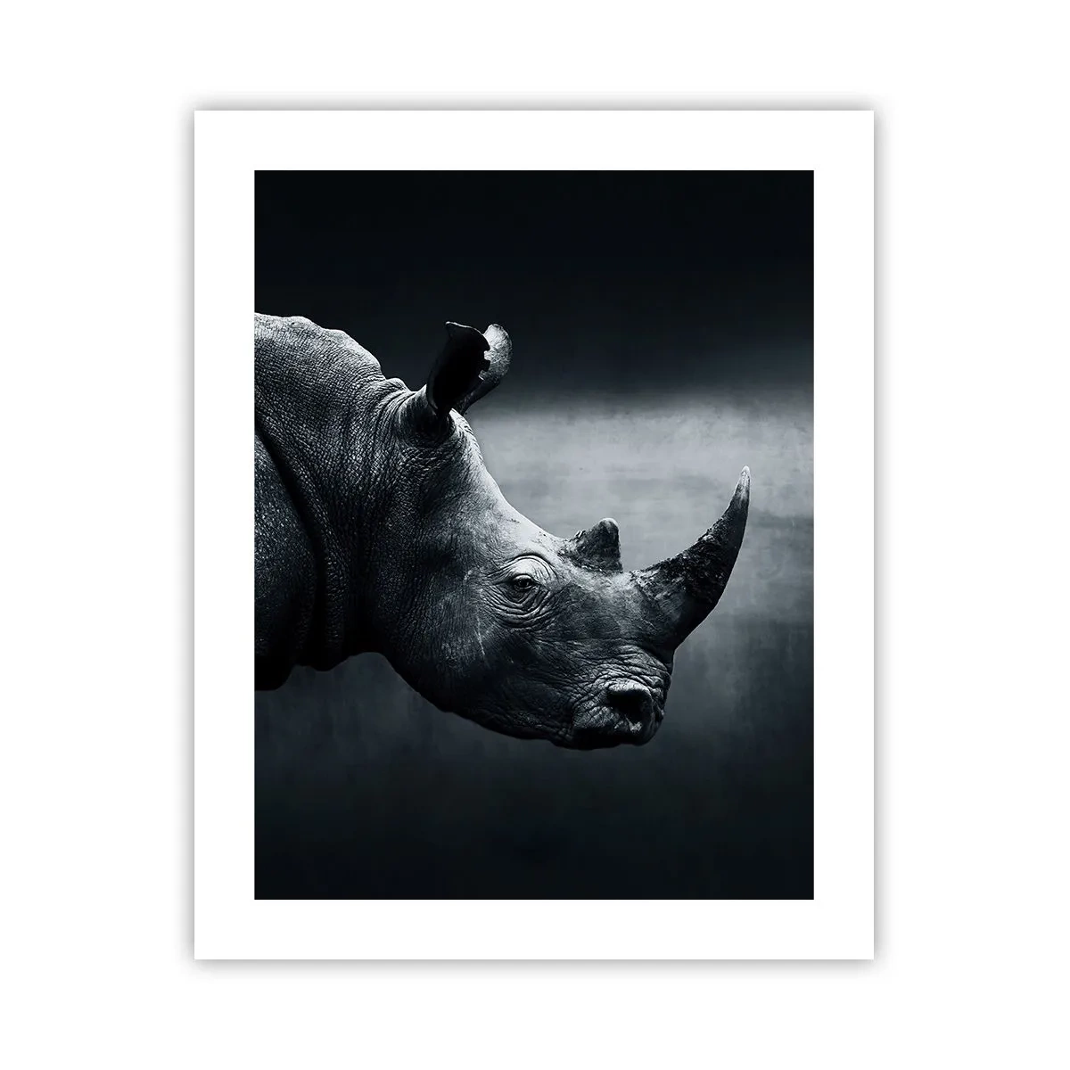 Poster - Rechts profiel - 40x50 cm