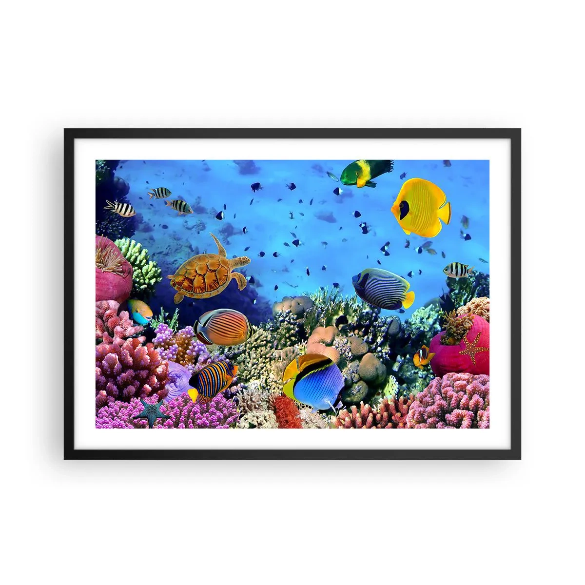 Poster in een zwarte lijst - En wat weten we over het leven... - 70x50 cm