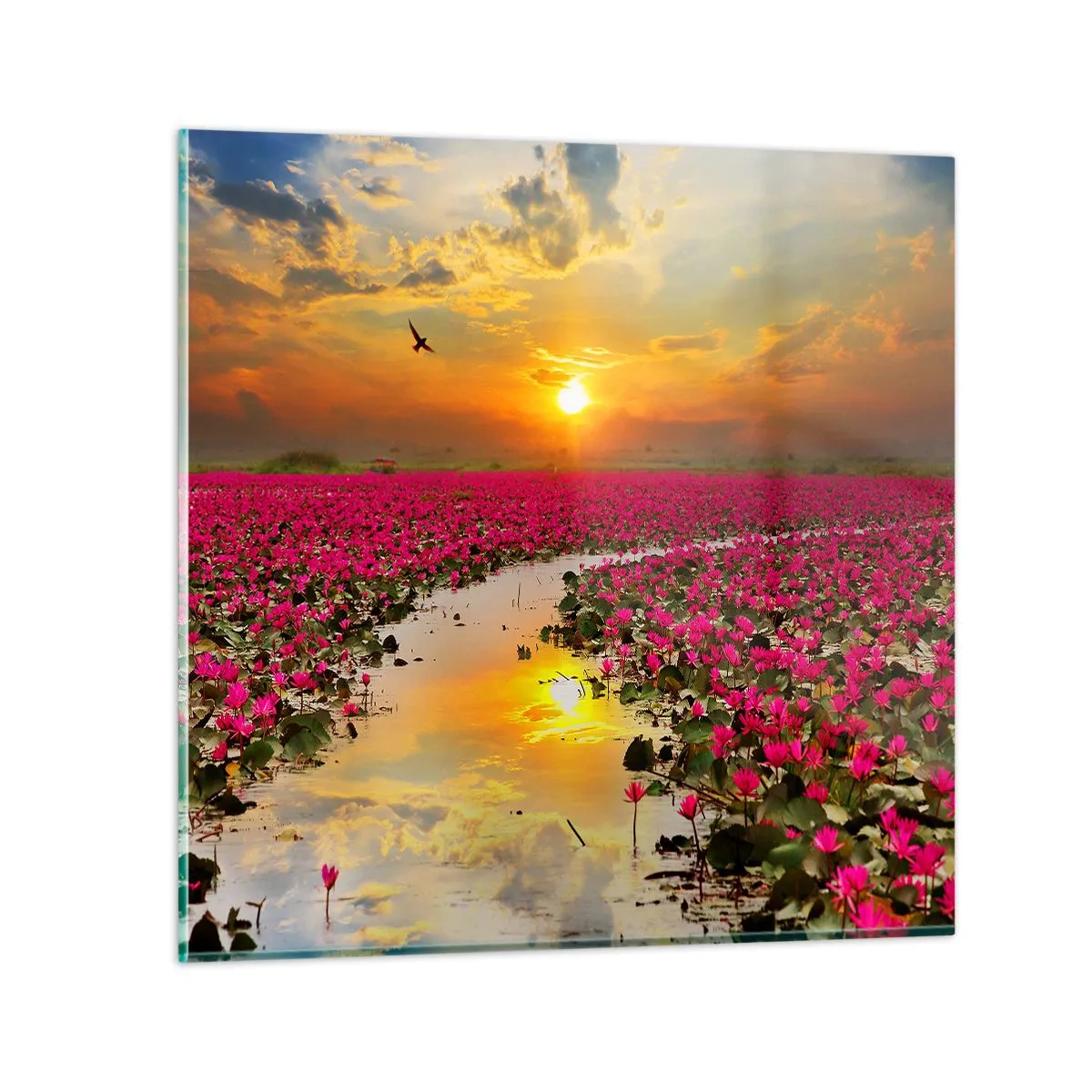 Schilderen op glas - Het geheime leven van het meer - 60x60 cm