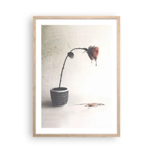Een poster in een licht eiken lijst - Rosa dolorosa - 50x70 cm