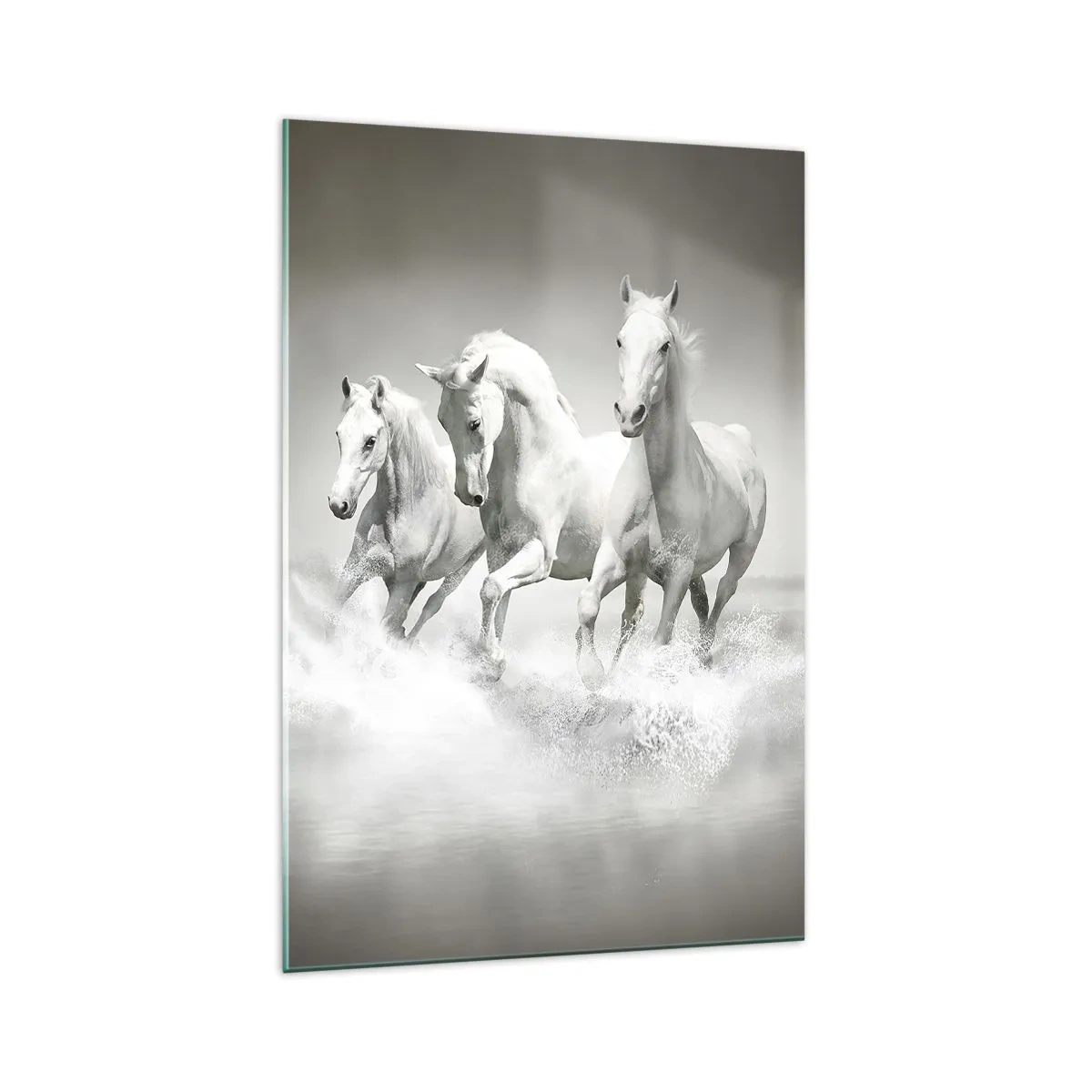 Schilderen op glas - Witte waanzin - 70x100 cm