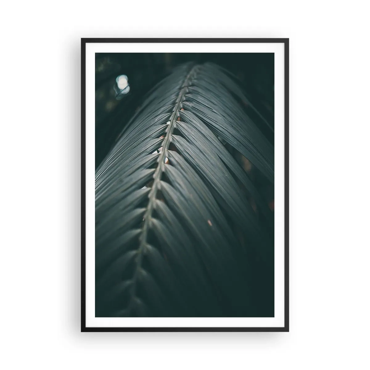 Poster in een zwarte lijst - De precisie van de natuur - 70x100 cm