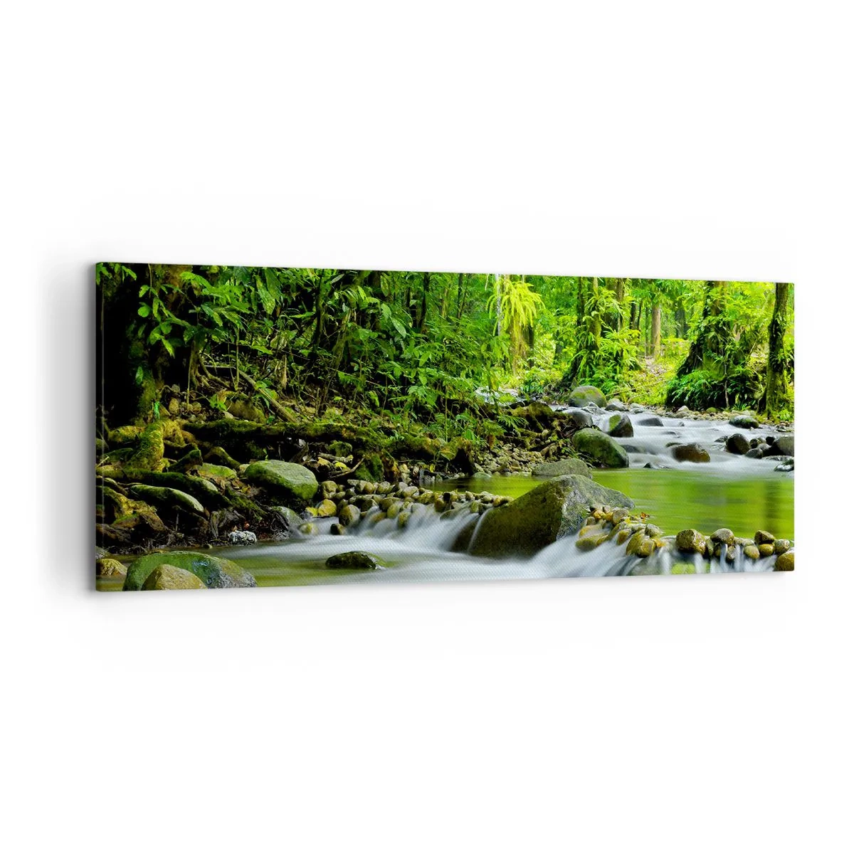 Schilderen op canvas - Zwemmen in een zee van groen - 120x50 cm