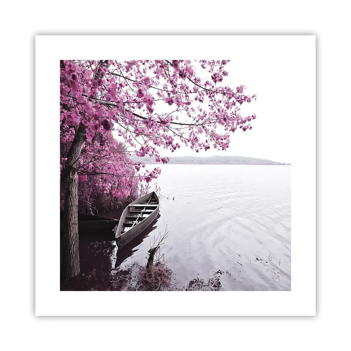 Poster - In roze stilte - 40x40 cm