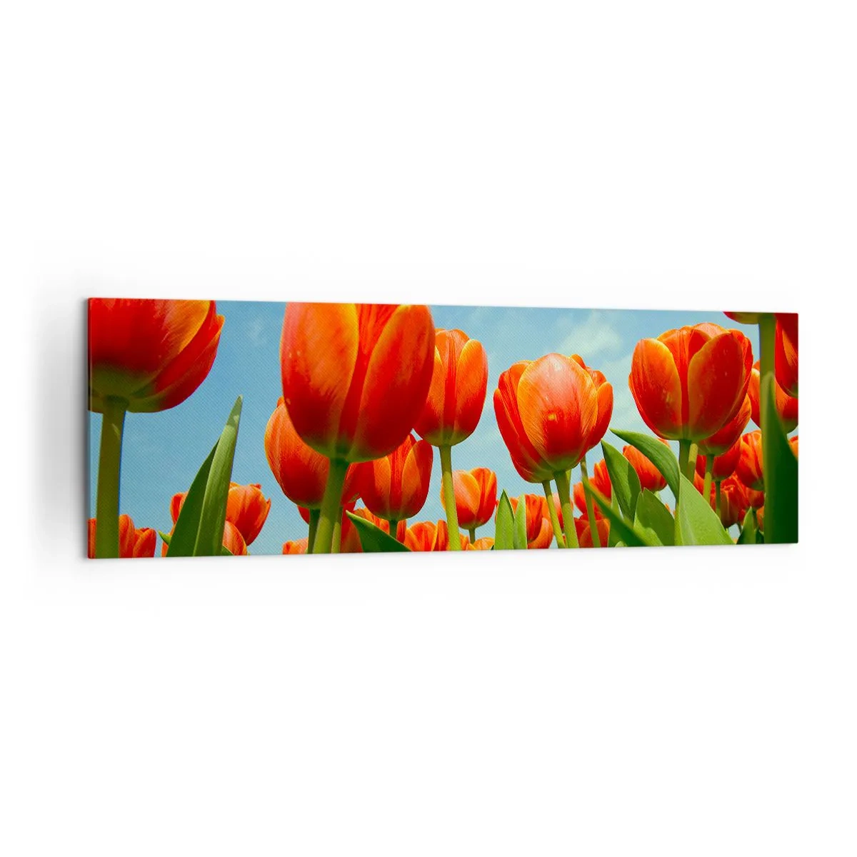 Schilderen op canvas - Afgezien van de blauwe lucht hebben ze niets nodig in hun leven - 160x50 cm