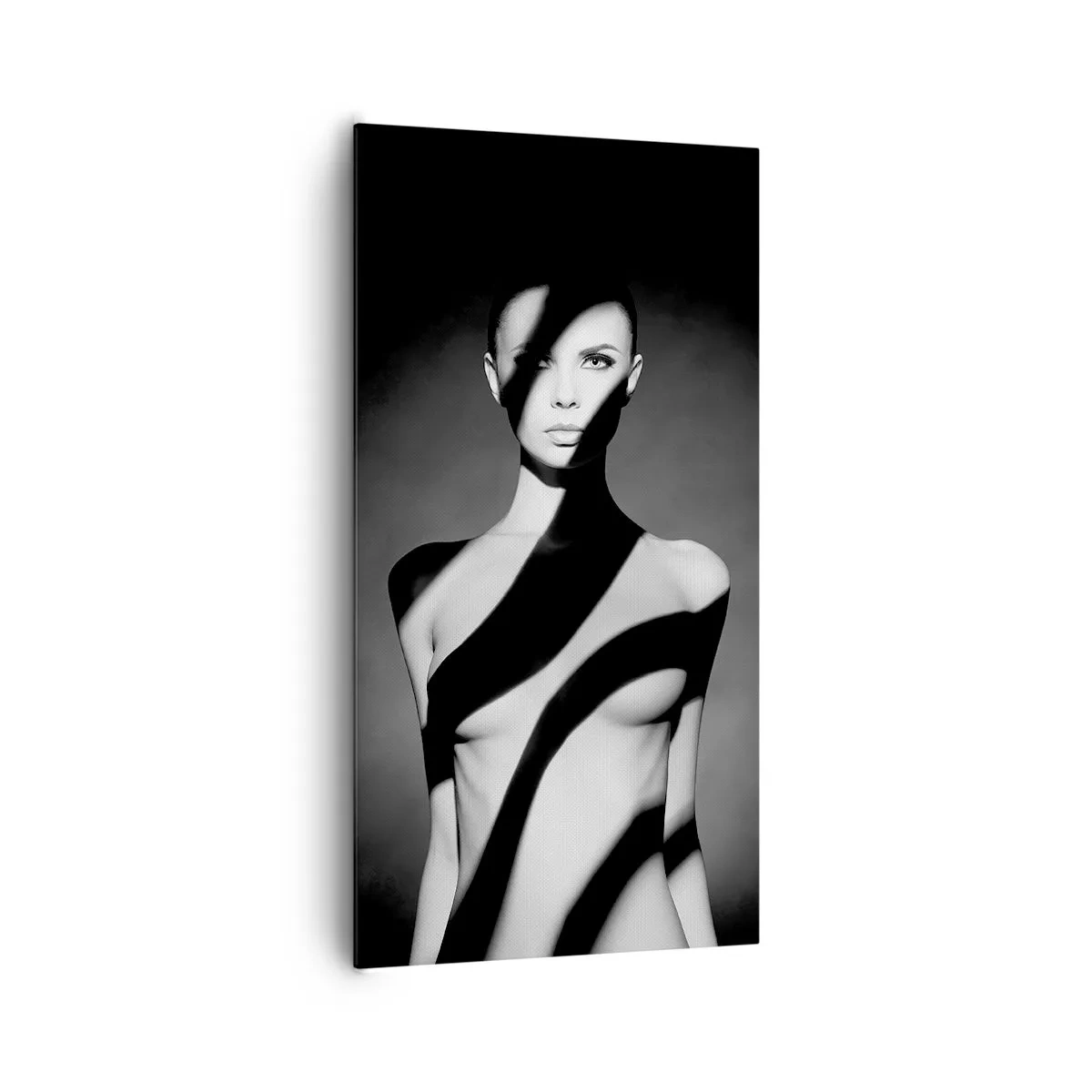 Schilderen op canvas - In glans en schaduw - 65x120 cm