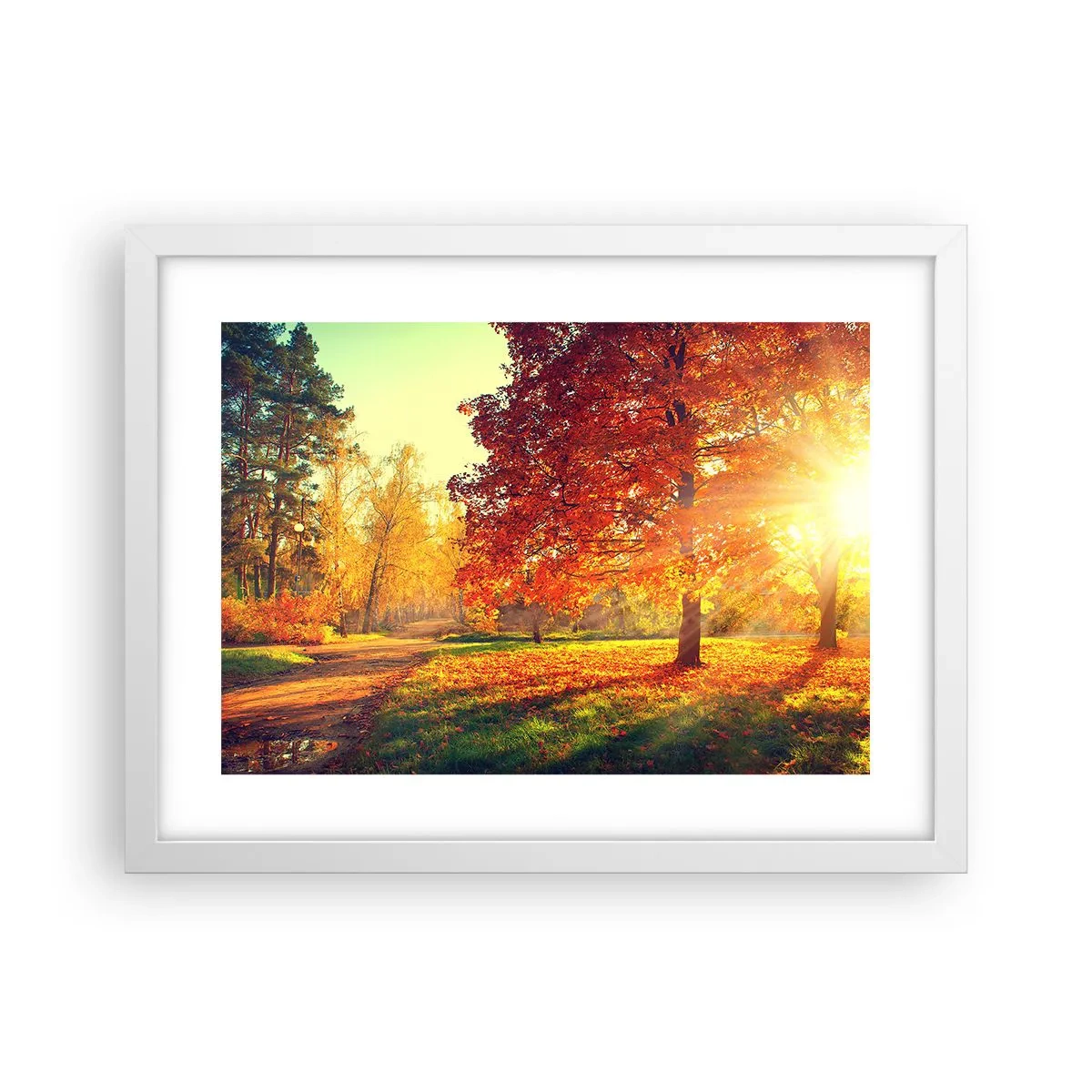 Poster in een witte lijst - Rood is mooi - 40x30 cm