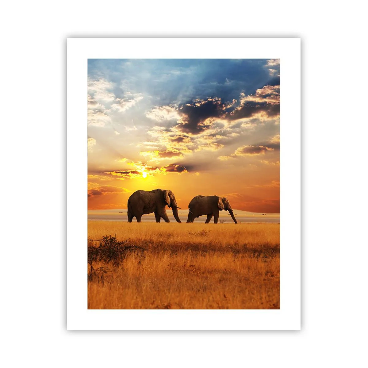 Poster - Familie wandeling - 40x50 cm