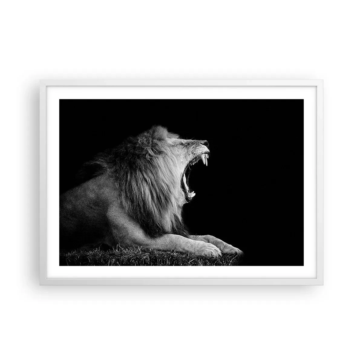 Poster in een witte lijst - Zonder enige twijfel - 70x50 cm