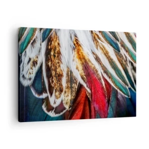 Schilderen op canvas - Close-up van veelkleurige veren in levendige, intense kleuren - 70x50cm - Geheimen van de vlucht - Moderne wanddecoratie voor woonkamer en slaapkamer ARTTOR