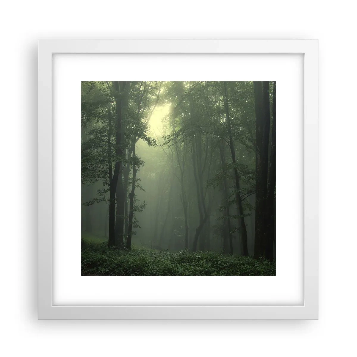 Poster in een witte lijst - Voordat hij wakker wordt - 30x30 cm