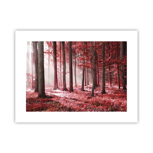 Poster - Rood is net zo mooi - 40x30 cm