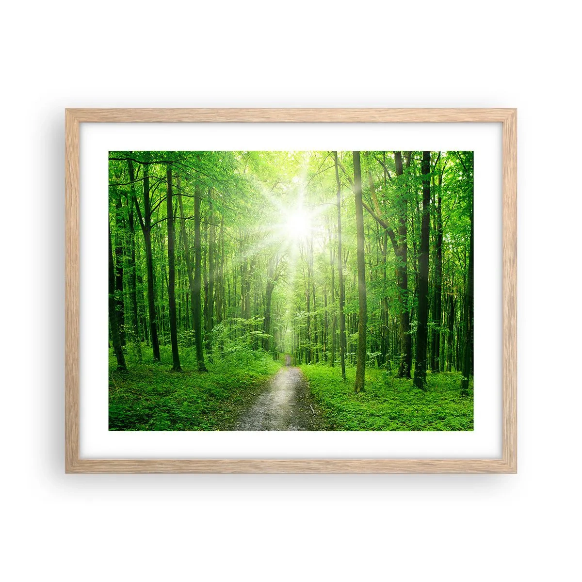 Een poster in een licht eiken lijst - De groene kathedraal - 50x40 cm