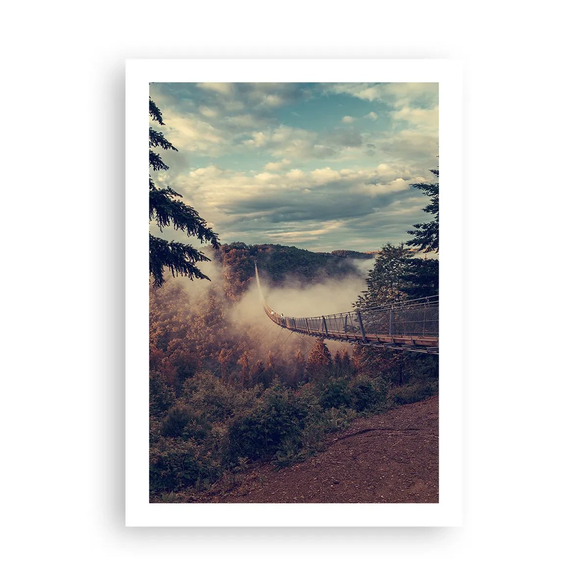 Poster - Boven het herfstbos - 50x70 cm