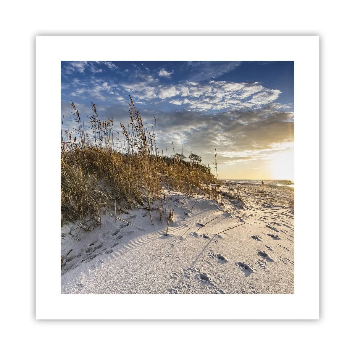 Poster - Een uitnodiging voor een wandeling - 40x40 cm