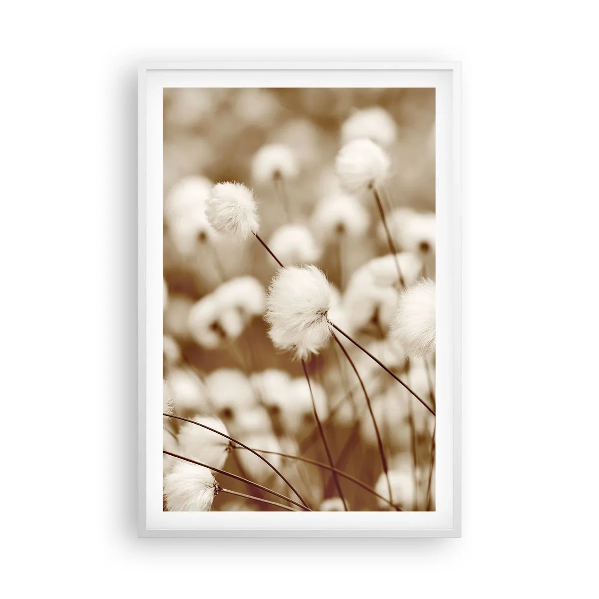 Poster in een witte lijst - Pluizig korenveld - 61x91 cm