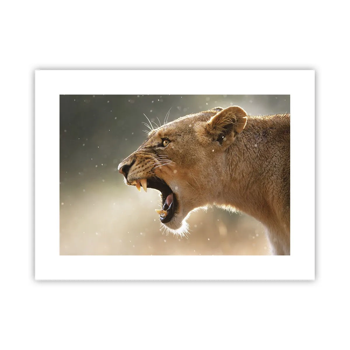 Poster - Probeer niet te luisteren - 40x30 cm