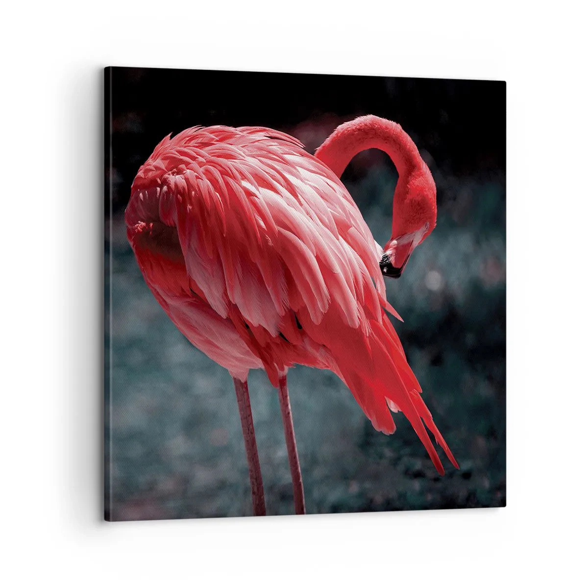 Schilderen op canvas - Een karmozijnrood gedicht van de natuur - 60x60 cm