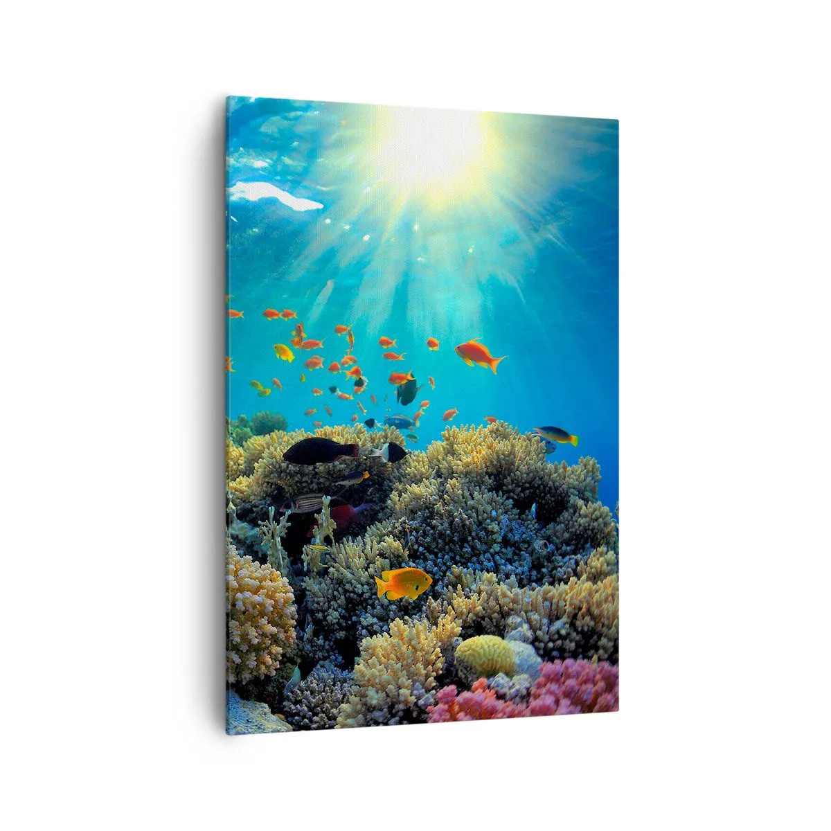 Schilderen op canvas - Onderwater schatten - 70x100 cm