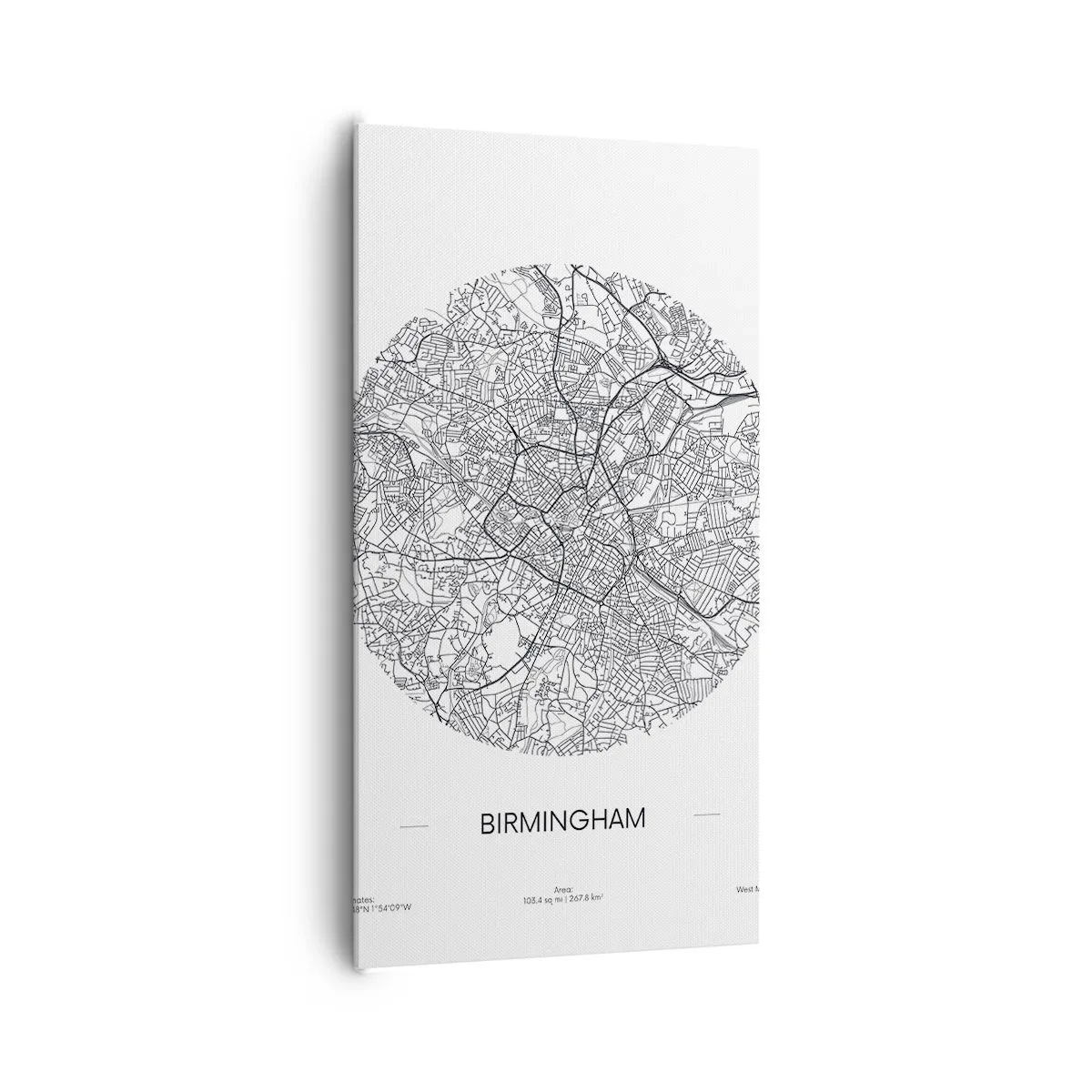 Schilderen op canvas - Anatomie van Birmingham - 65x120 cm
