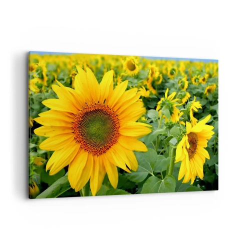 Schilderen op canvas - Honderden zonnen vlamden op - 120x80 cm