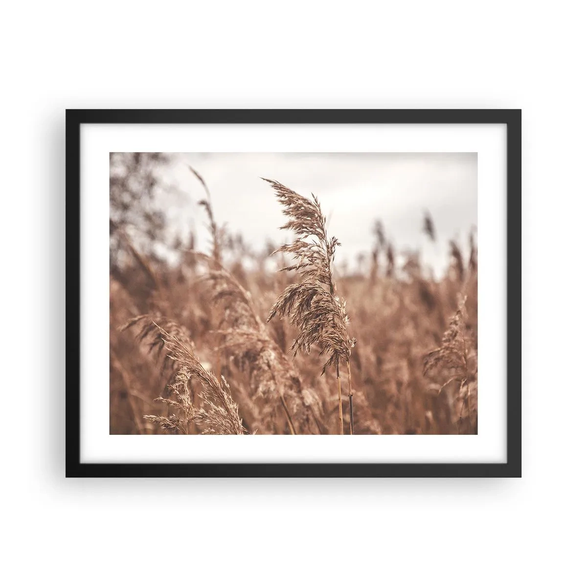 Poster in een zwarte lijst - Het is al herfst in de velden - 50x40 cm