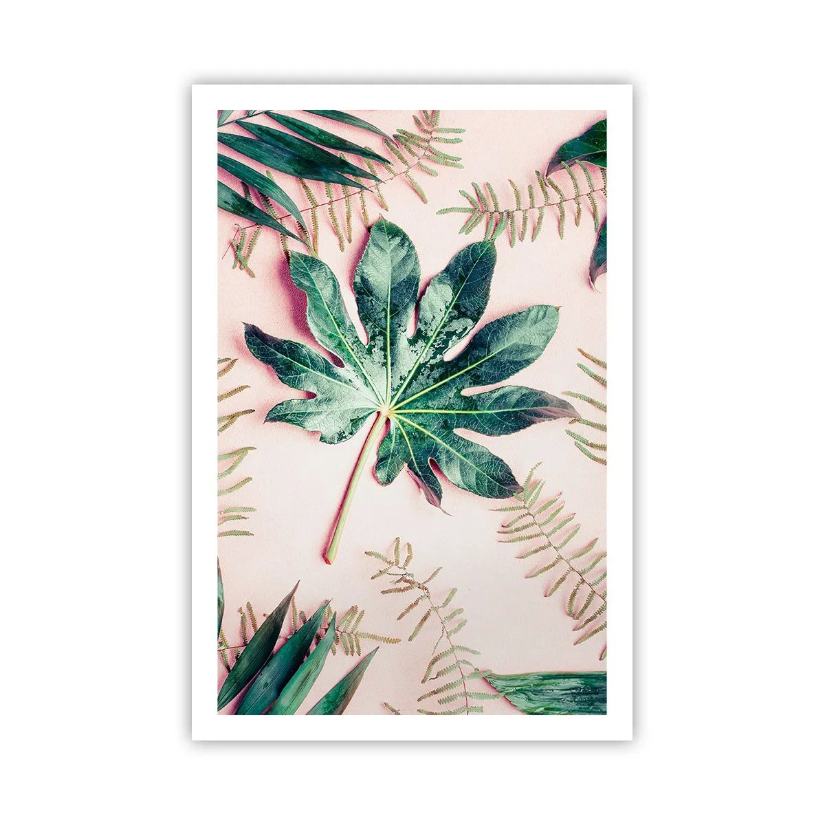 Poster - Een studie van groen op een roze achtergrond - 61x91 cm