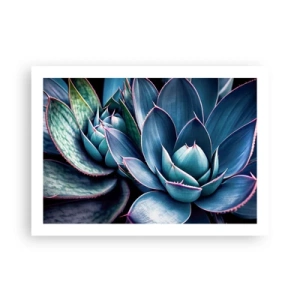 Poster - Levenskracht - 70x50 cm