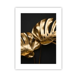 Poster - De schatten van de natuur - 30x40 cm