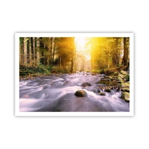 Poster - Malachiet in een zilveren en gouden lijst - 100x70 cm