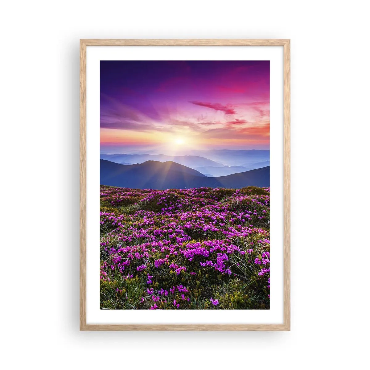 Een poster in een licht eiken lijst - Kruiden roken naar verse trossen van de velden - 50x70 cm