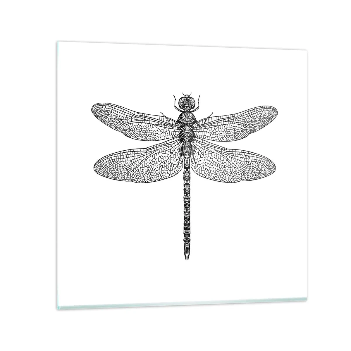 Schilderen op glas - Precisie van de natuur - 50x50 cm