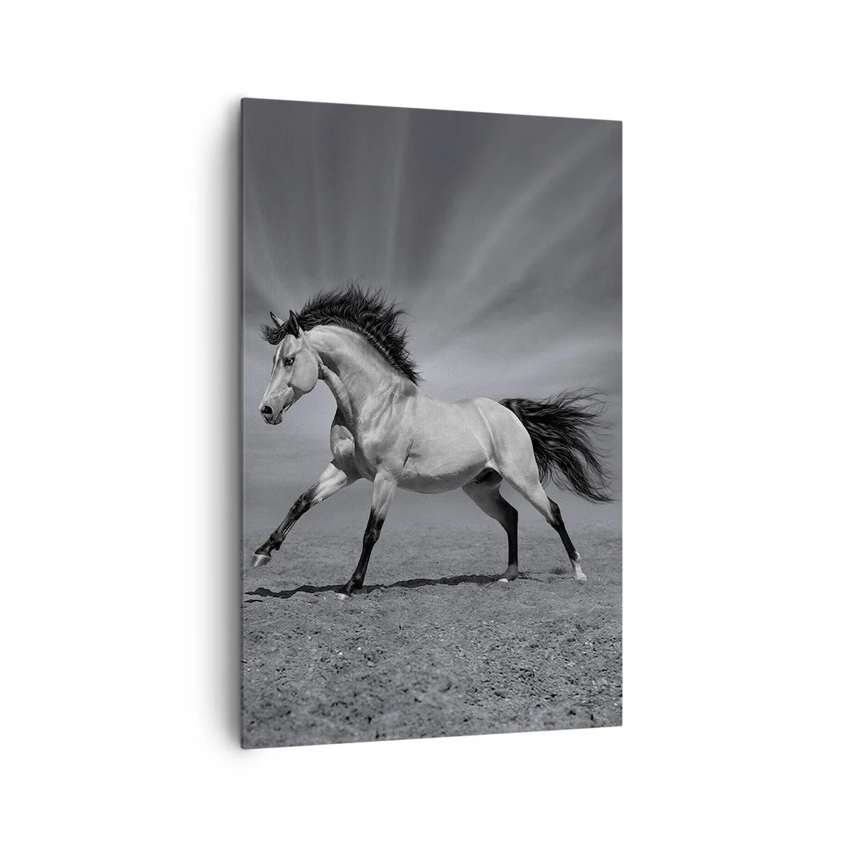 Schilderen op canvas - Geboren om te genieten - 80x120 cm