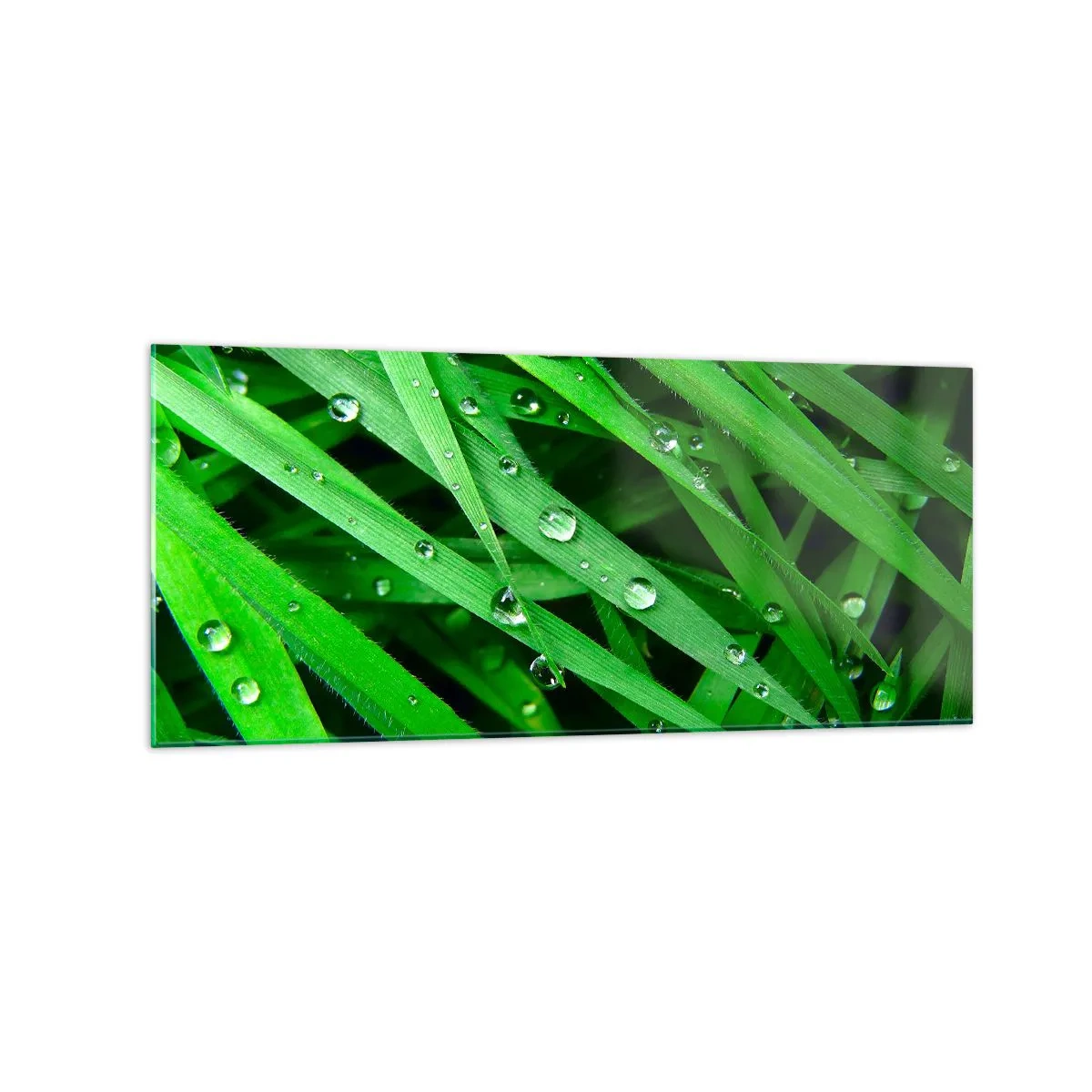 Schilderen op glas - Speel groen - 120x50 cm