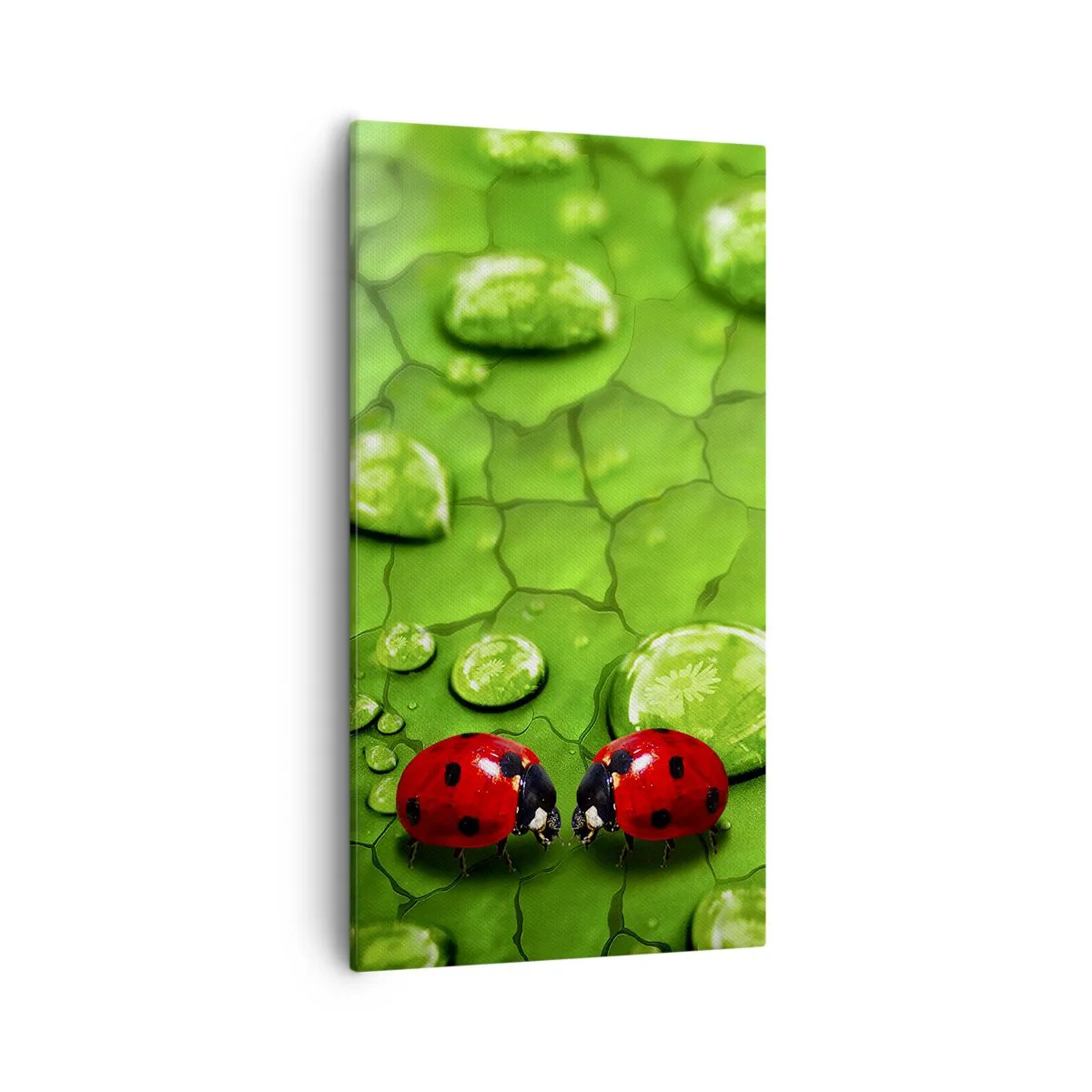Schilderen op canvas - Ontmoeting in het groen - 55x100 cm