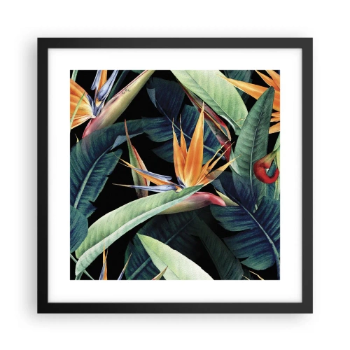Poster in een zwarte lijst - Vlammende bloemen van de tropen - 40x40 cm