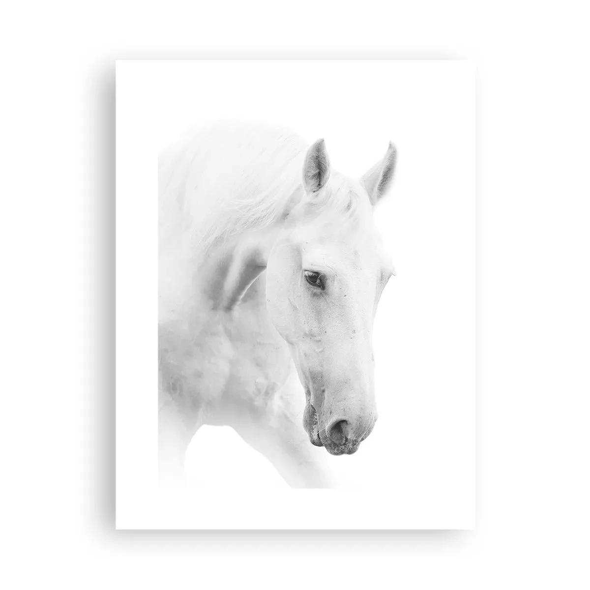 Poster - Is dit vriendschap...? - 30x40 cm