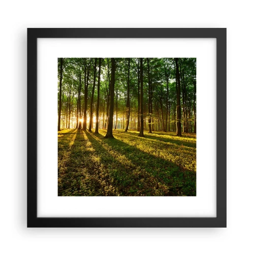 Poster in een zwarte lijst - Foto van de hele lente - 30x30 cm