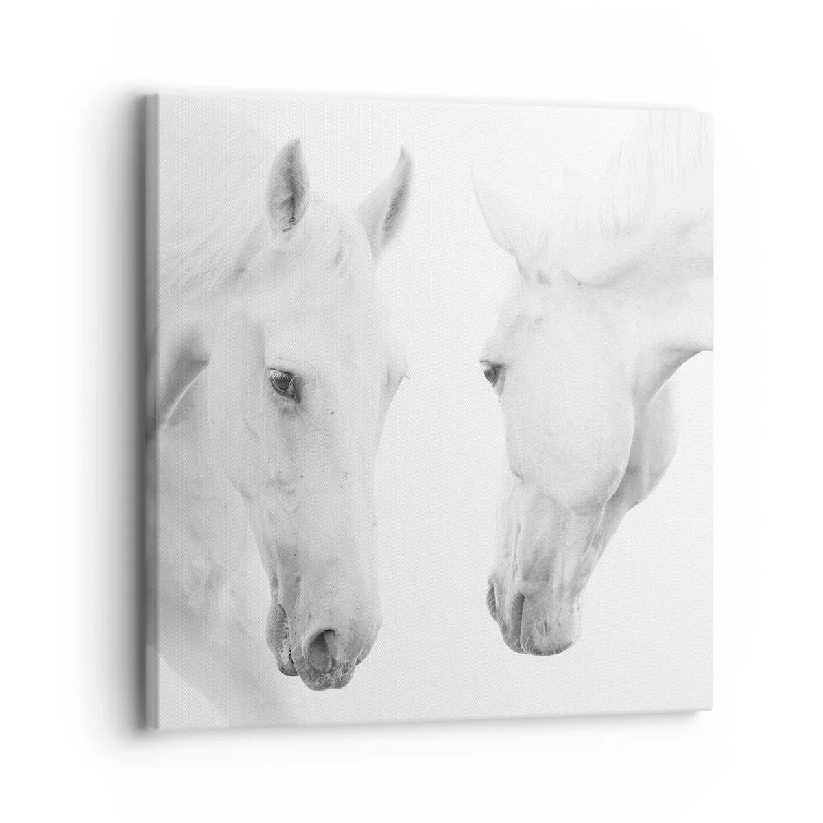 Schilderen op canvas - Is dit vriendschap...? - 30x30 cm