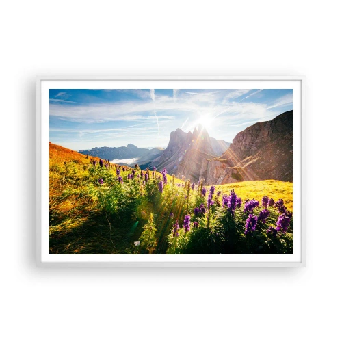 Poster in een witte lijst - Het geheime leven van kruiden - 100x70 cm