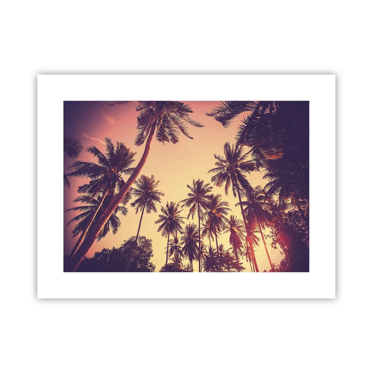Poster - Een tropische variant - 40x30 cm