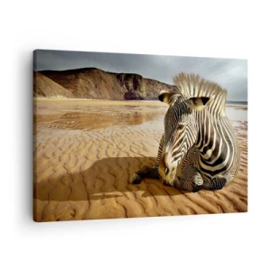 Schilderen op canvas - Een zebra rust uit op een zandstrand met kliffen op de achtergrond. - 70x50cm - Wij passen bij elkaar - Moderne wanddecoratie voor woonkamer en slaapkamer ARTTOR
