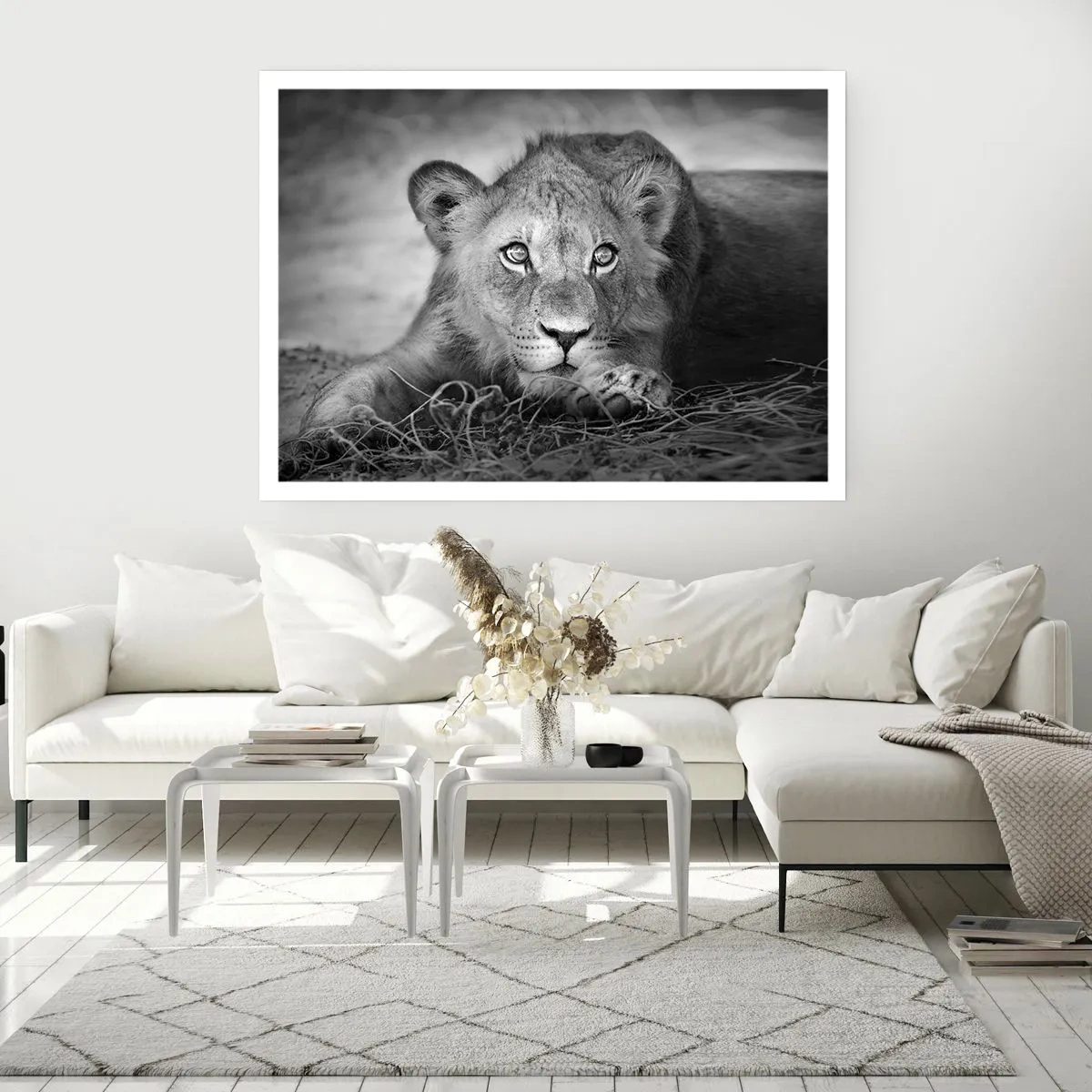 Poster - Koninklijke puppy - 70x50 cm
