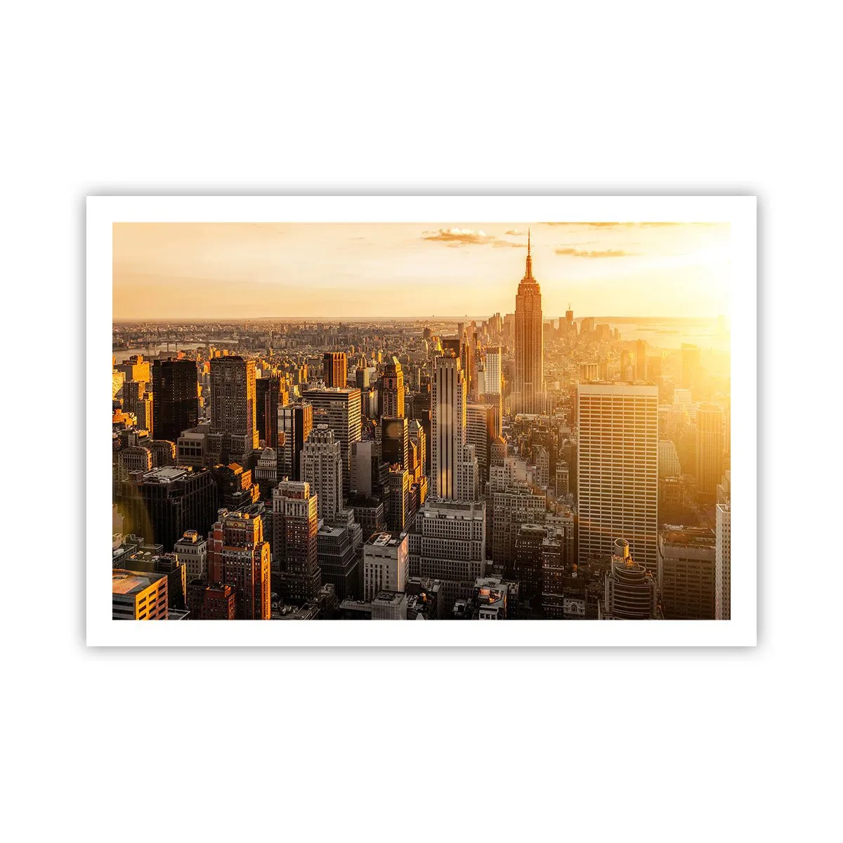 Poster - Groeien in de zon - 91x61 cm