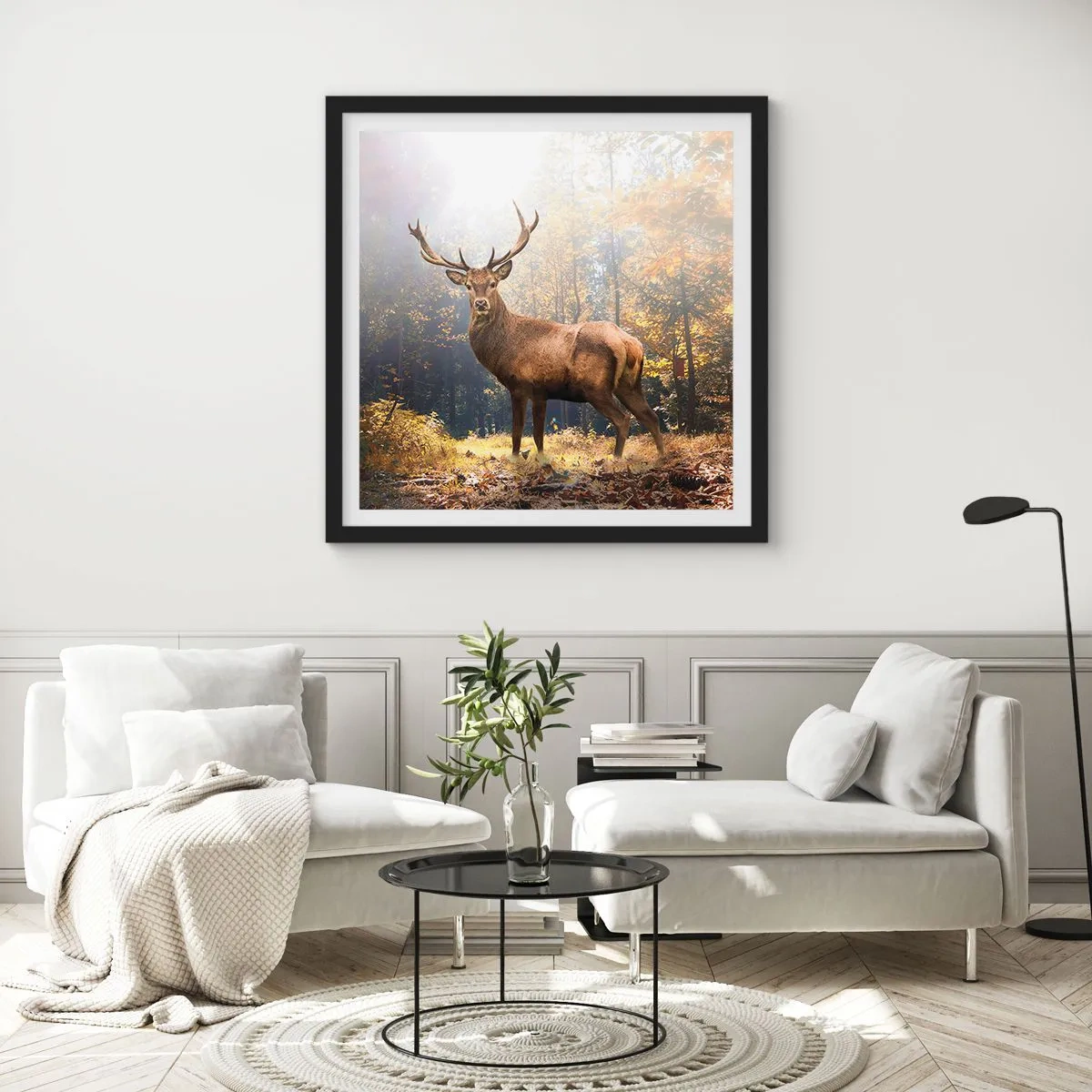 Poster in een zwarte lijst - In volle majesteit - 30x30 cm