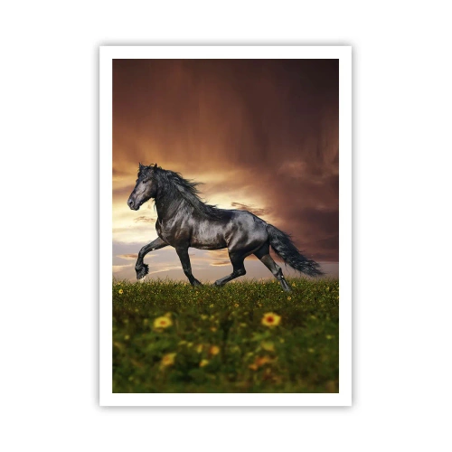 Poster - Zwarte Prins - 70x100 cm