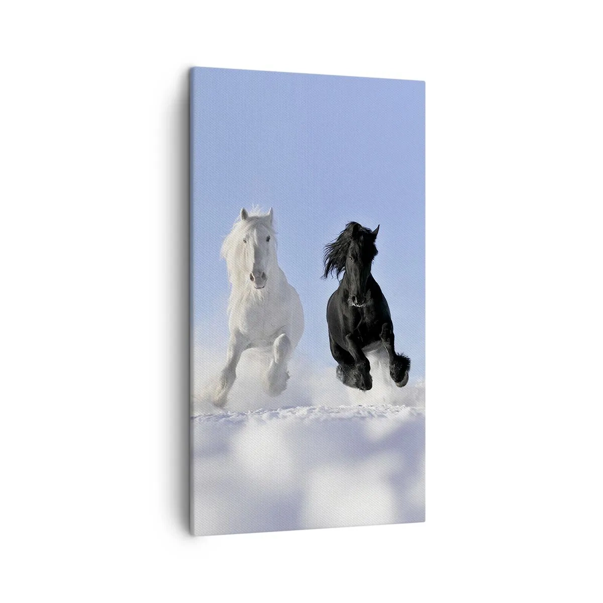 Schilderen op canvas - Zwart-wit galop - 45x80 cm