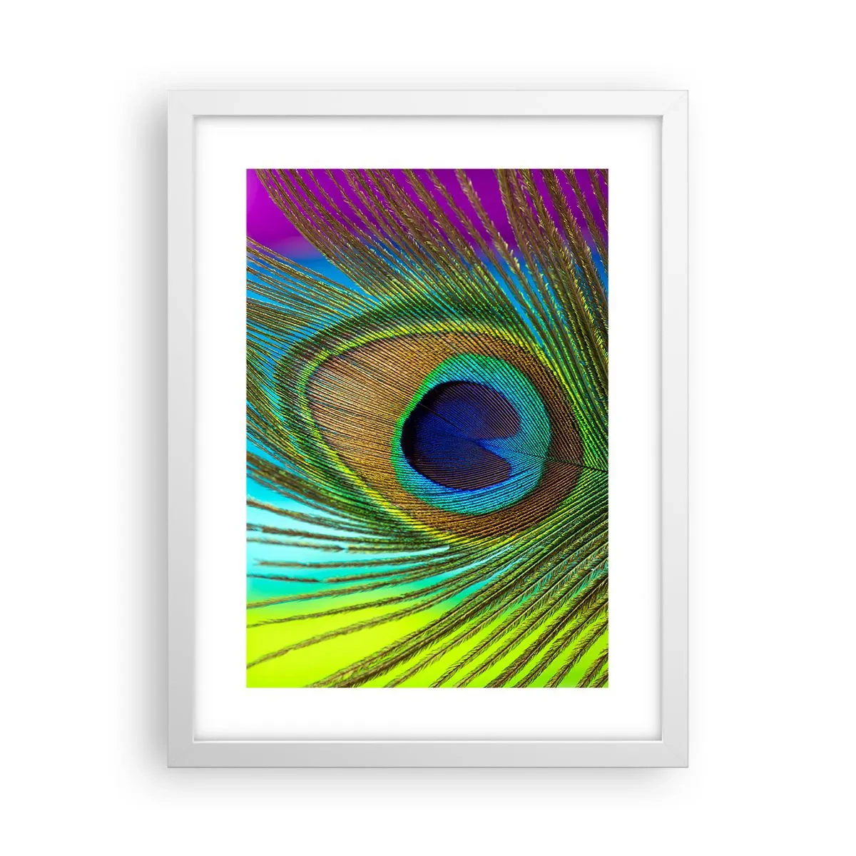 Poster in een witte lijst - Oog in oog - 30x40 cm