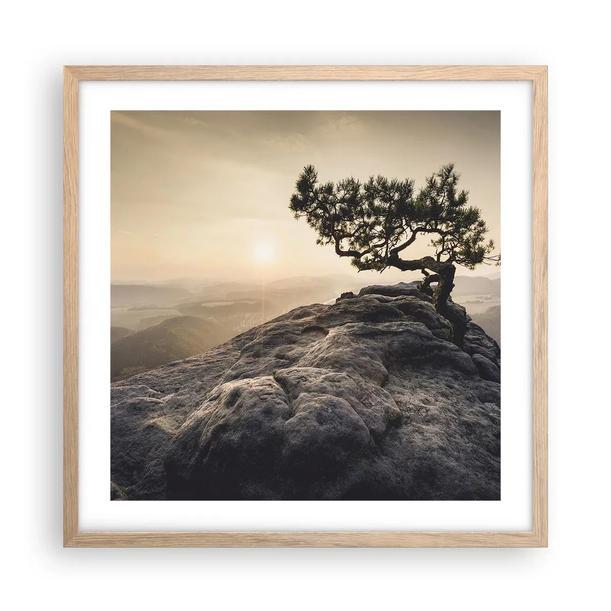 Een poster in een licht eiken lijst - Het leven wint altijd - 50x50 cm