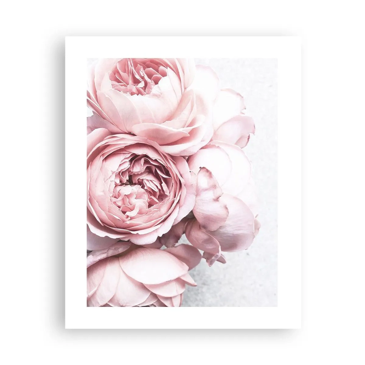 Poster - Voor romantici - 40x50 cm